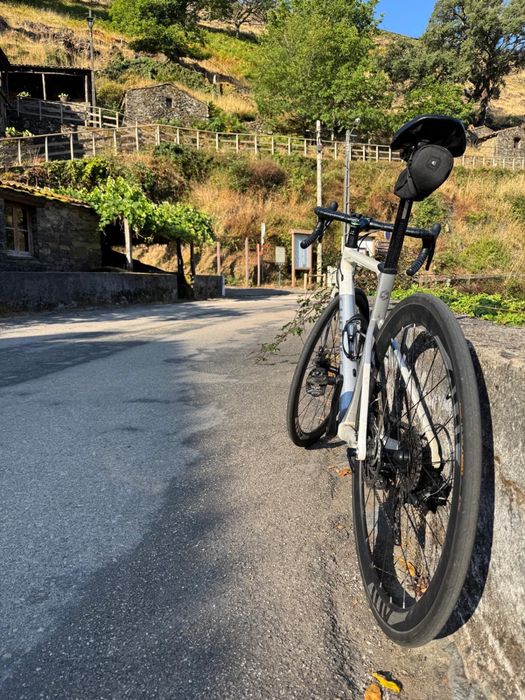 Biciclete de estrada Sunpeed Invincible