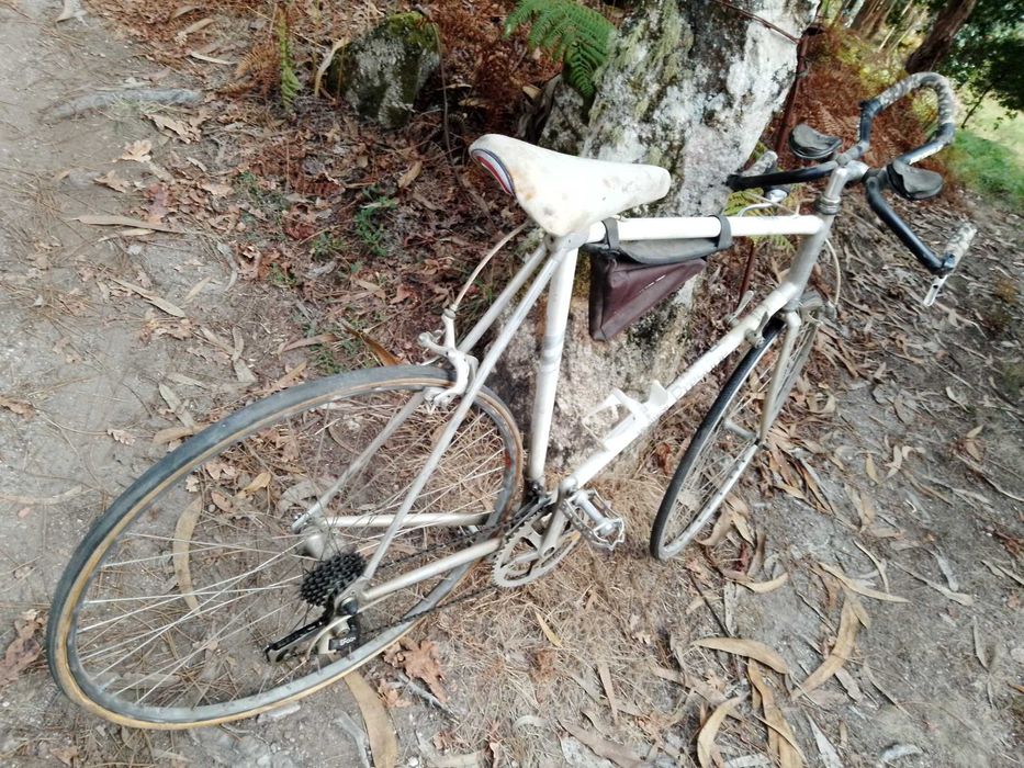 Bicicleta especial de corrida