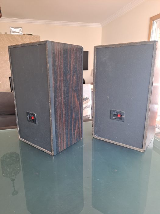 Colunas de som pioneer