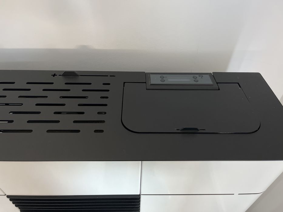 Salamandra solzaima nevada A+