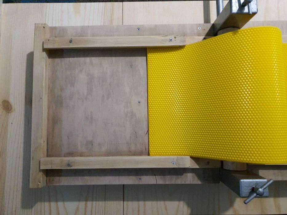 Pszczelarstwo- matryca