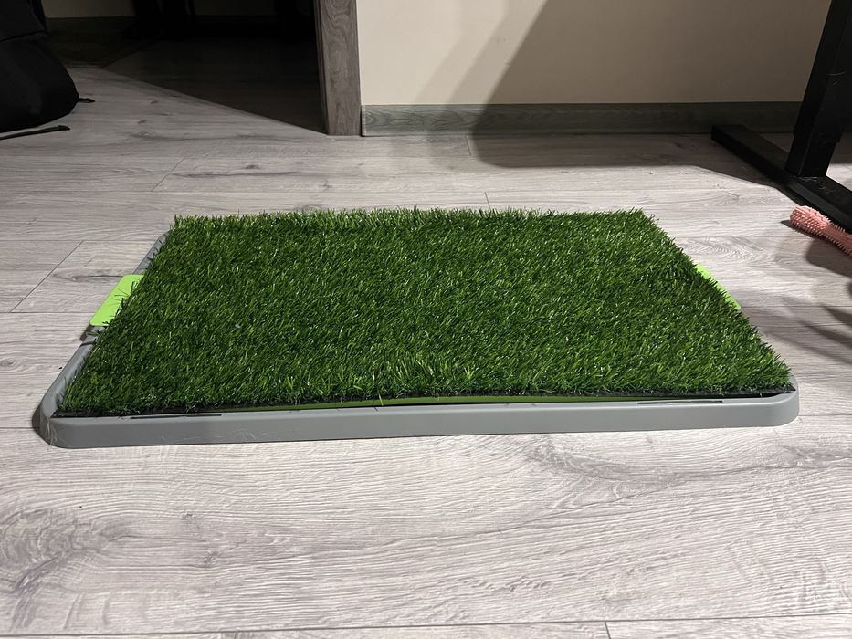 Туалет-лоток для собак 68х43 см