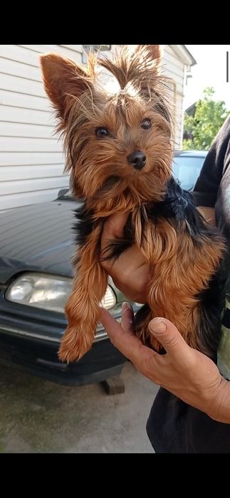 Хлопчик дуже гарний