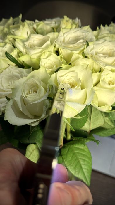 iPhone 13 Pro 256GB (Como Novo)