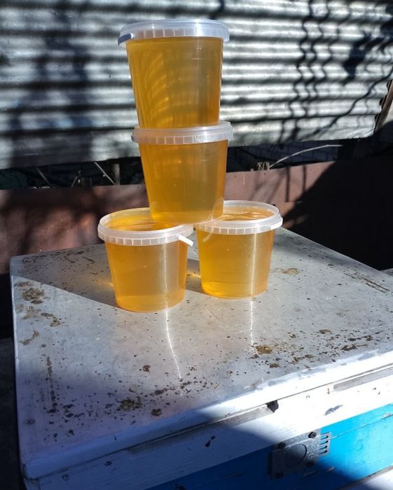 Мед акація з власної пасіки 2025 року