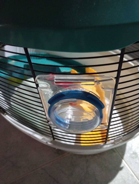 Vendo gaiola para hamster