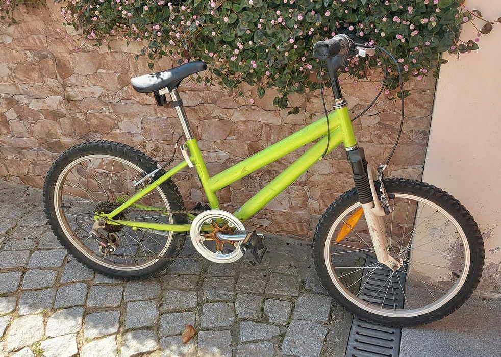 Bicicleta Criança R20