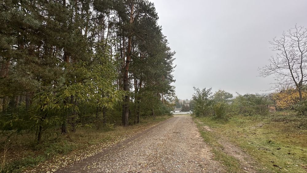 Продається невелика ділянка в Зарічанах біля лісу