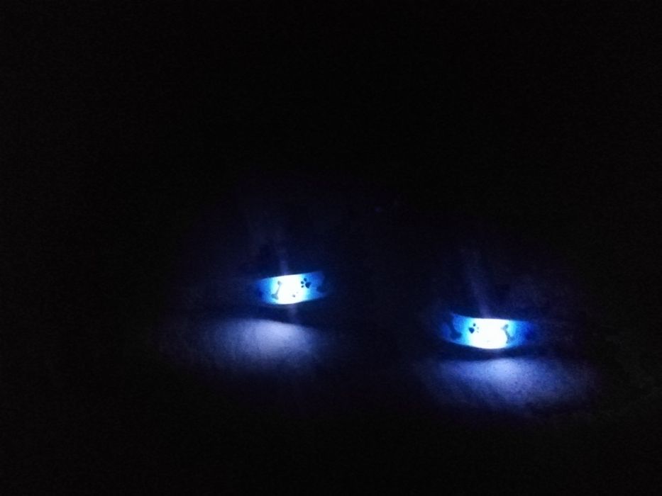 Psi patrol sneakersy LED chłopięce Paw migające świecące adidasy buty