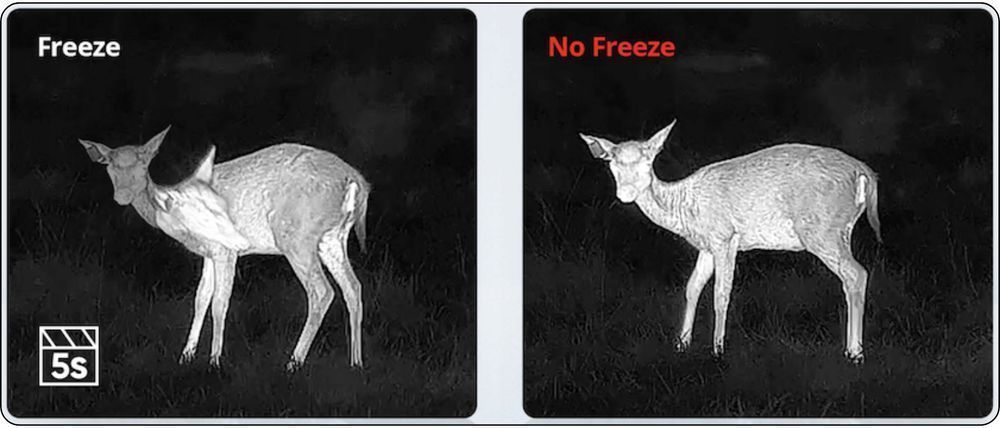 Luneta Termowizyjna Celownik Termowizyjny HIKMICRO Stellar SQ50L 3.0