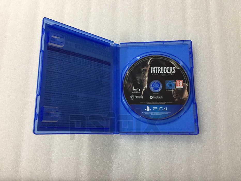 Intruders Hide and Seek playstation ps4