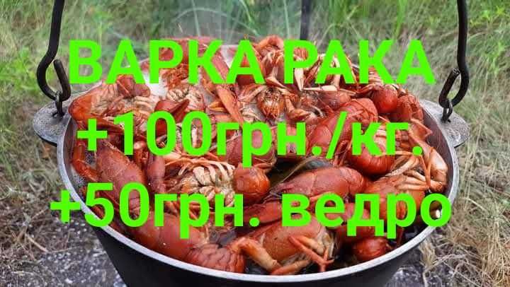 Раки живые, речные и варенные