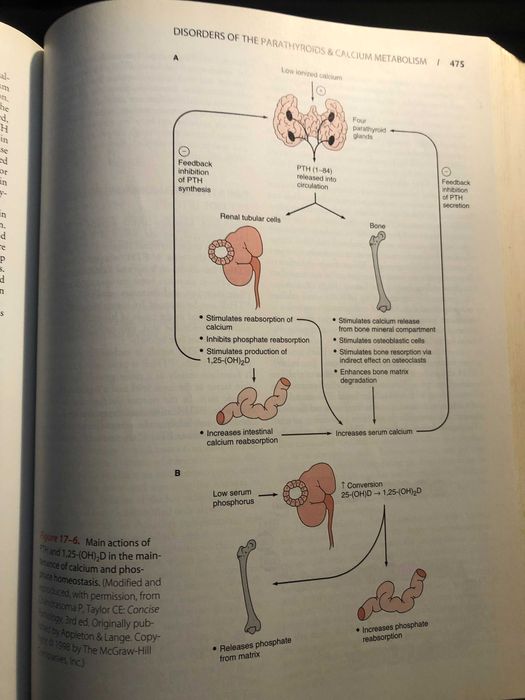 Pathophysiology of disease