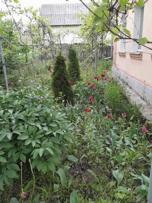Продається будинок з ділянкою