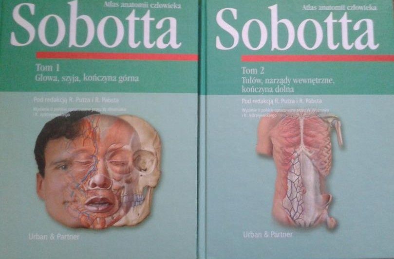 Atlas Sobotta 2001 jak nowy