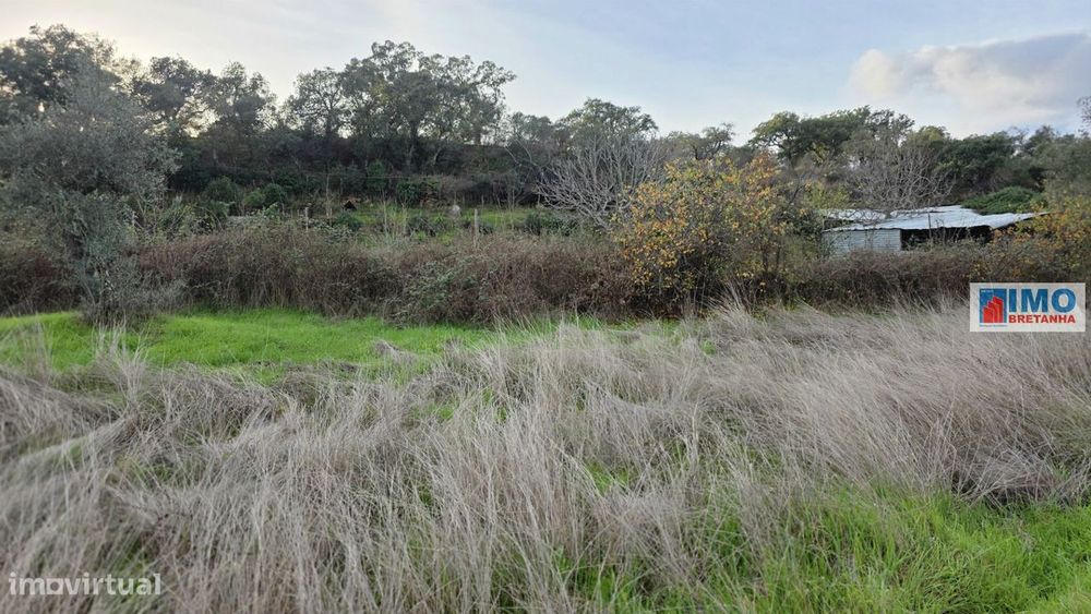 Terreno  Venda em Idanha-a-Nova e Alcafozes,Idanha-a-Nova
