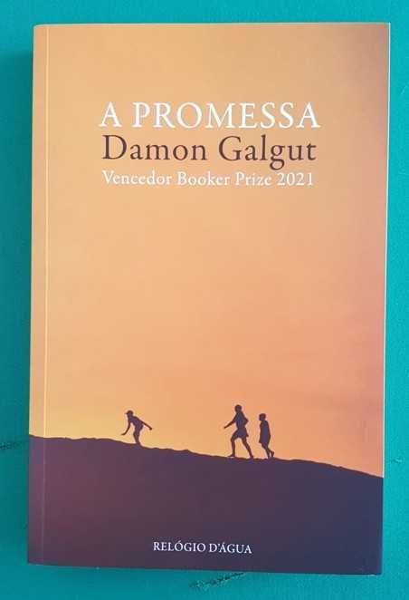 A Promessa - Damon Galgut