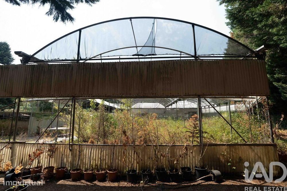 Terreno para construção em Borbela e Lamas de Olo de 2750,00 m2