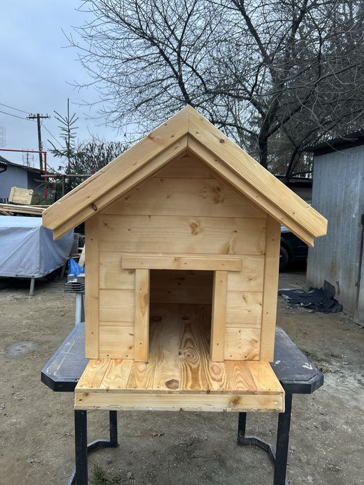 Buda dla średniego psa