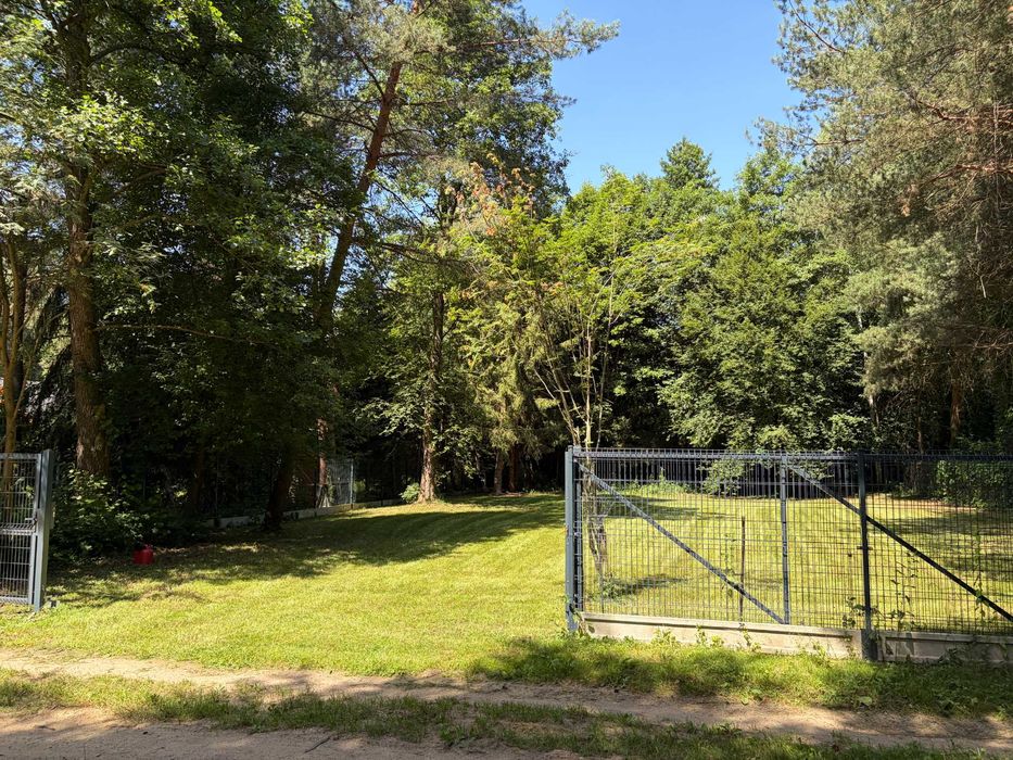 Działka rekreacyjna nad rzeką Liwiec - Widok 4