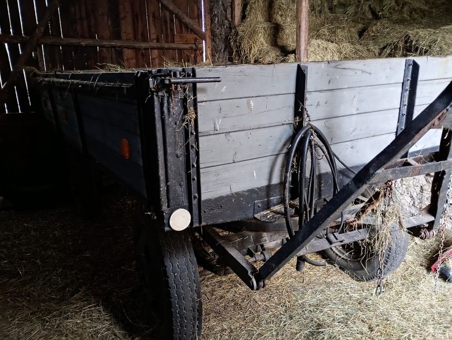 Siano sprzedaż ostatnie ilości kostek