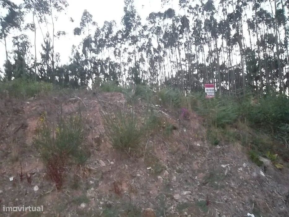 Terreno para construção em Oliveira de Azeméis — Macieira de Sarnes, Aveiro
