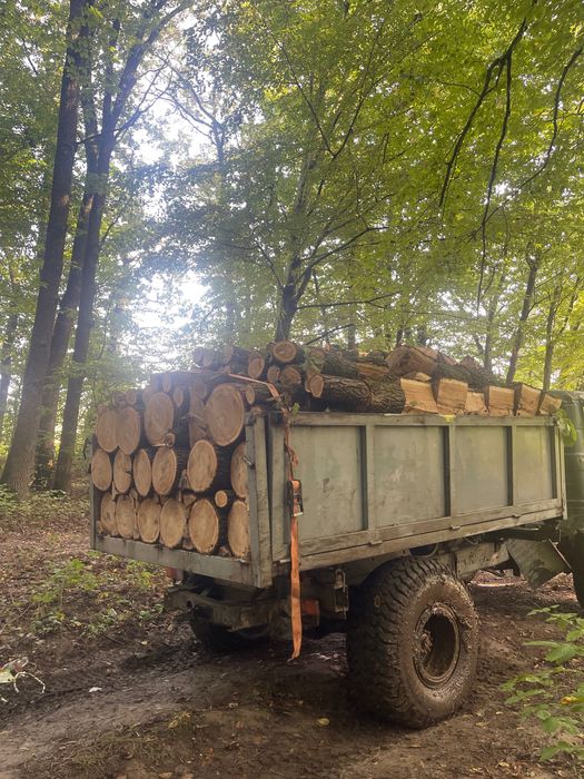 Продам дрова паливні твердої породи