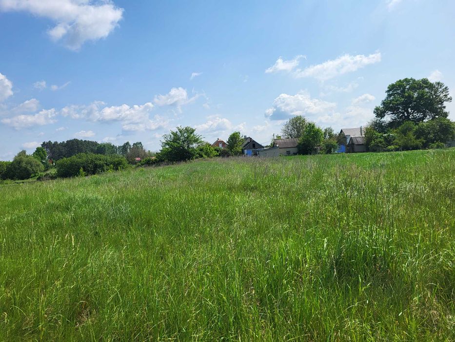 Ділянка 30 сот. Прямий вихід до озера