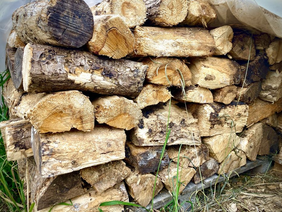 Lenha de Carvalho