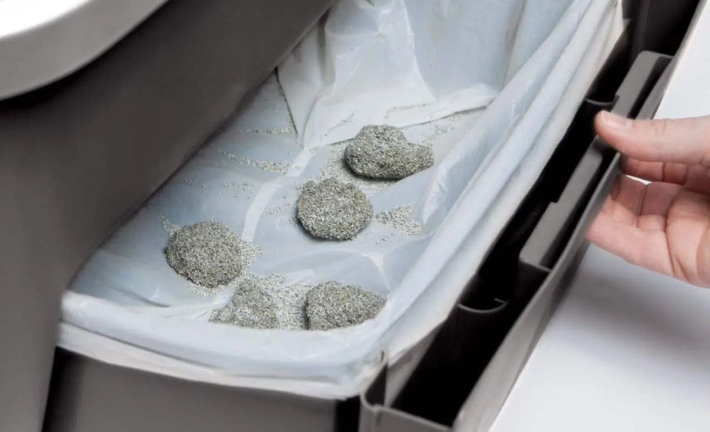 Caixa auto limpeza para gatos