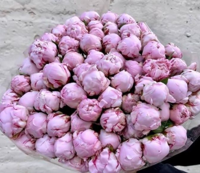 Пионы,букеты,цветы опт