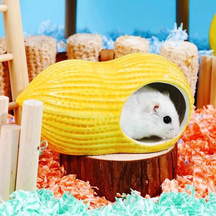 Esconderijo de hamster ou animais pequenos NOVO - PORTES GRÁTIS