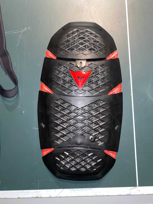 Proteção de costas Dainese Pro-Speed G2