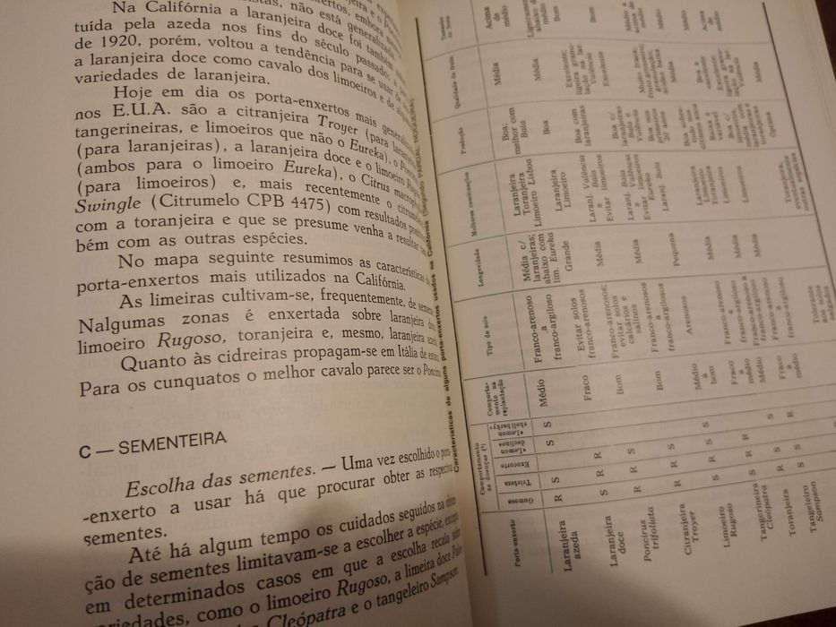 J. Duarte Amaral - Os Citrinos [autografado]