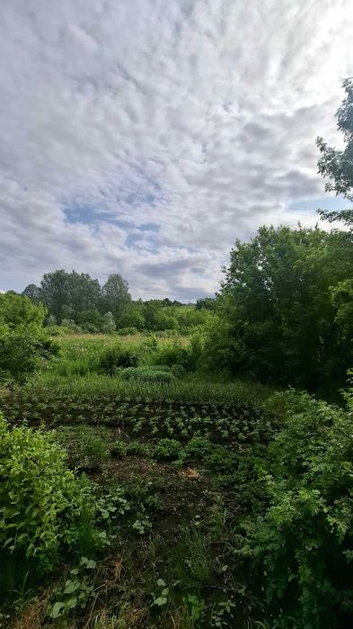 Без комиссии! Продам дом, участок, Ольшаны, Солоницевка Отг MA