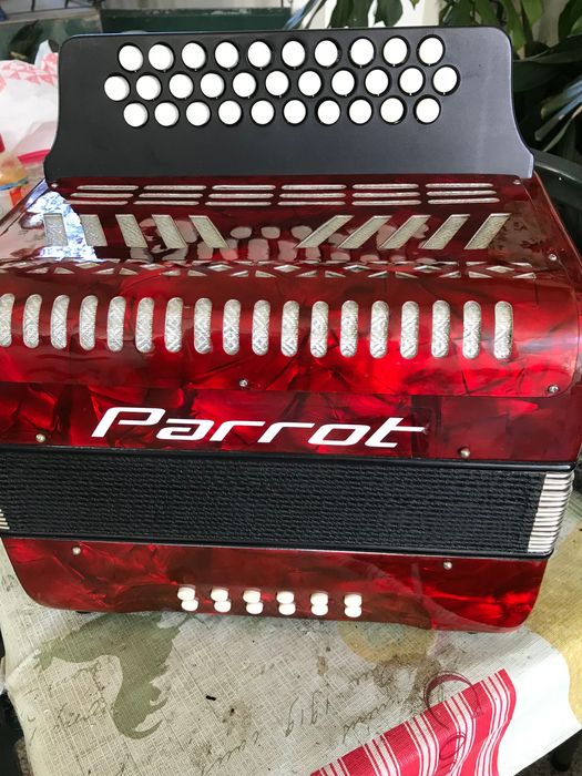 Vendo concertina em muito bom estado