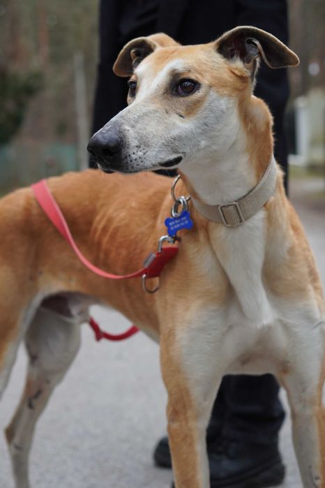 Zjawiskowy młody Julian do pokochania!