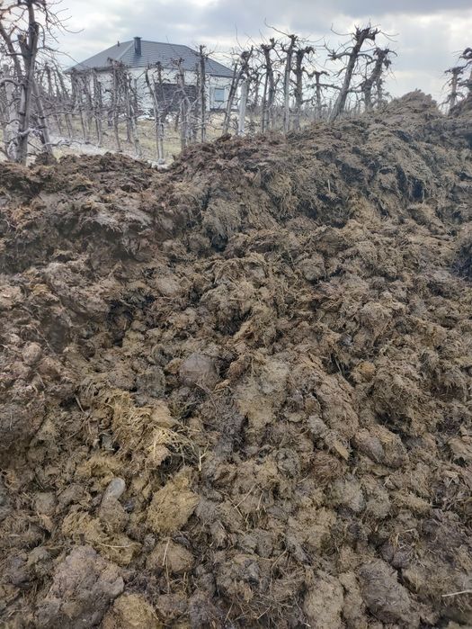 Obornik Bydlęcy 27t / Kora pod borówkę