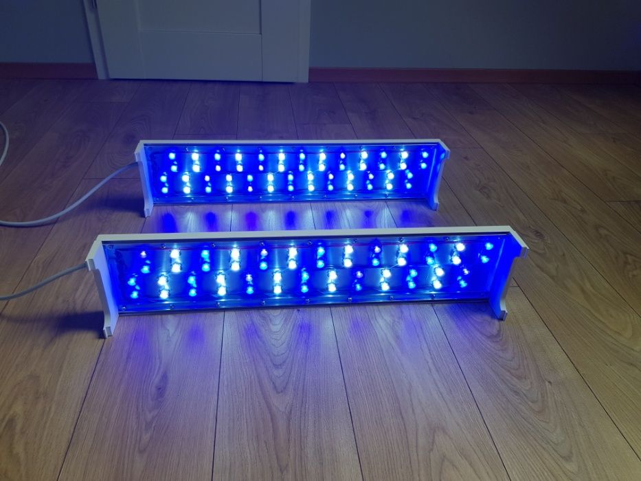 Białe Belki Power Led do Morskiego Akwarium