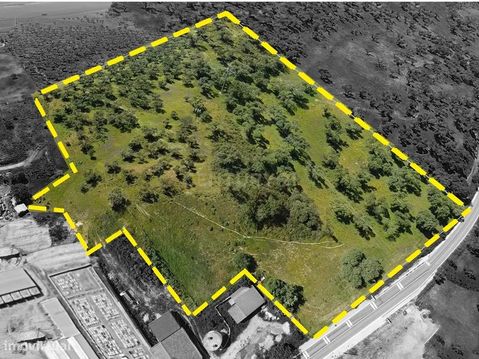 Terreno Urbano c/5 Hectares