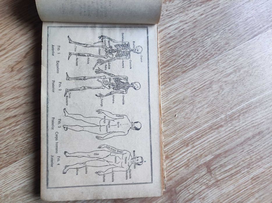 O livro da enfermeira