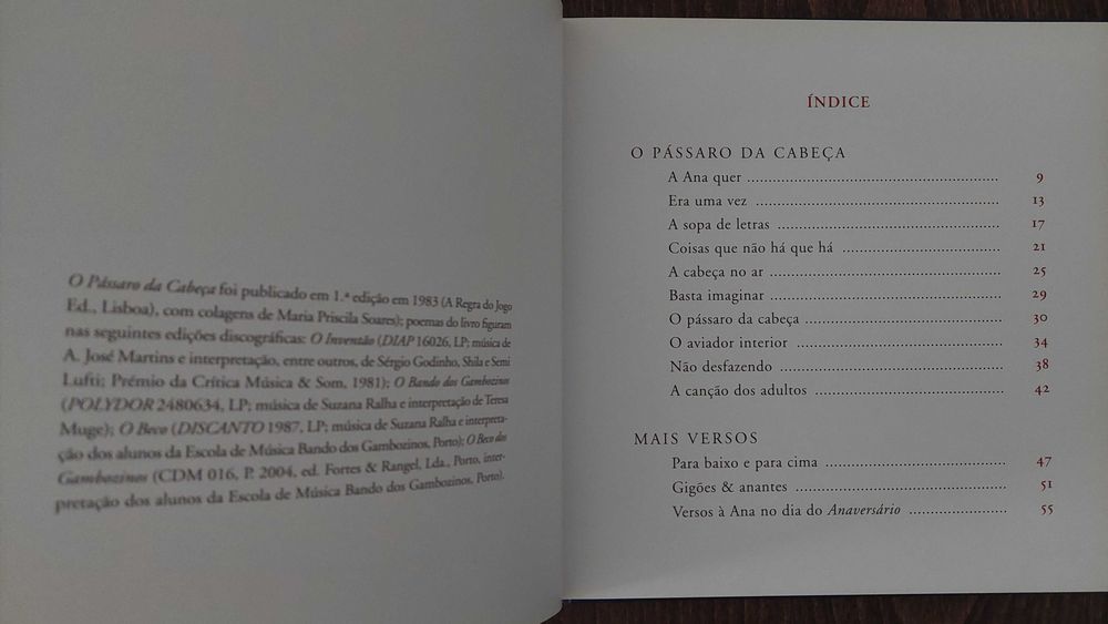 Livro ilustrado para crianças "O Pássaro da Cabeça"