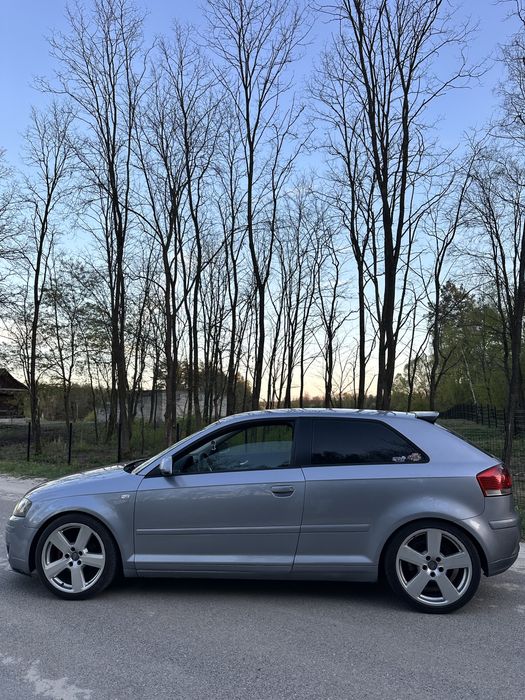 Audi A3 8P 1.9TDI 2004r