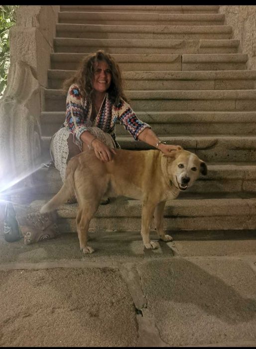 Apoio domiciliário / passeios com animais