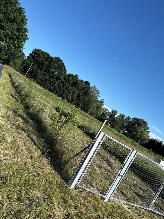 Działka 31,5 ara Rudzienice