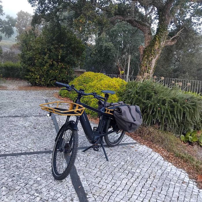 Riese & Müller Multicharger2 GT Vario 51 cm