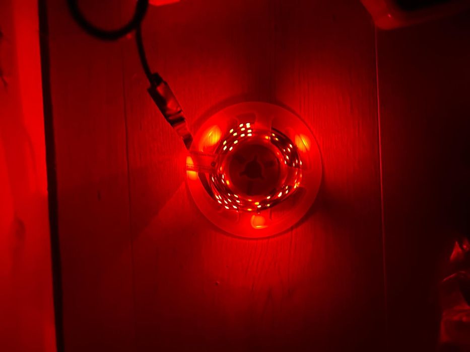 Taśma LED 5m wielokolorowa