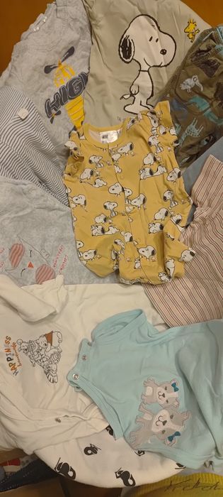 Kosz mojrzesza ,ciuszki i gratisy