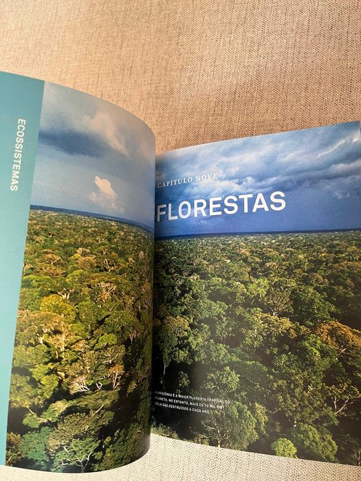 Livro A Nossa Escolha- Plano para Resolver Crise Climática