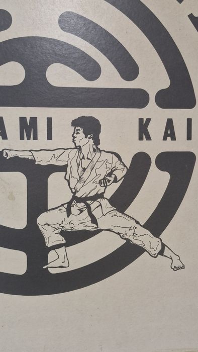 Cartaz dojo karaté